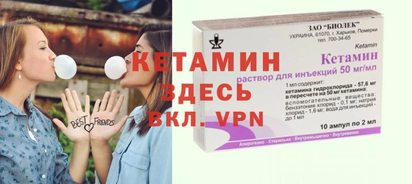 шишки Абаза