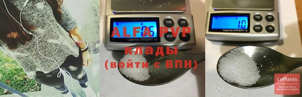 шишки Абаза