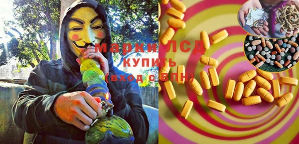 шишки Абаза