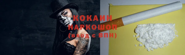шишки Абаза