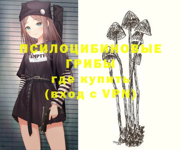 МДПВ Абинск