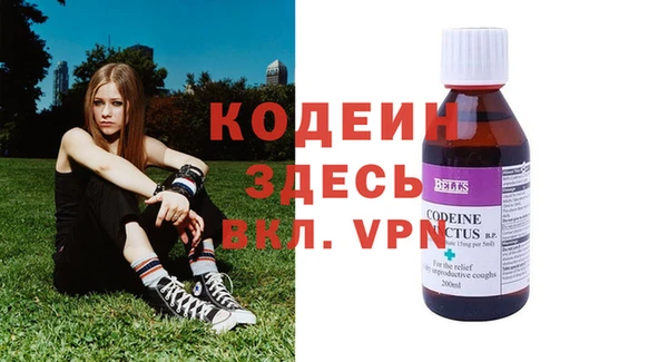 шишки Абаза