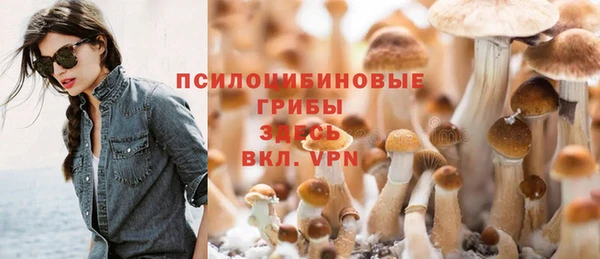 МДПВ Абинск