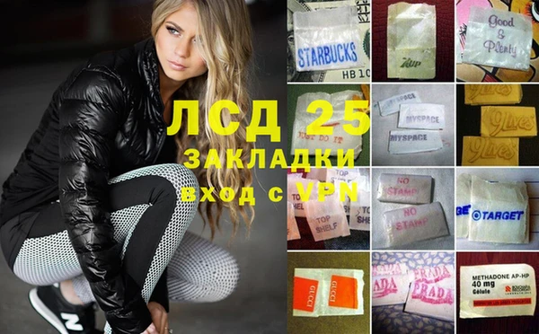 шишки Абаза