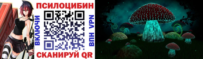 Галлюциногенные грибы Psilocybe  купить  сайты  mega ссылки  Струнино 